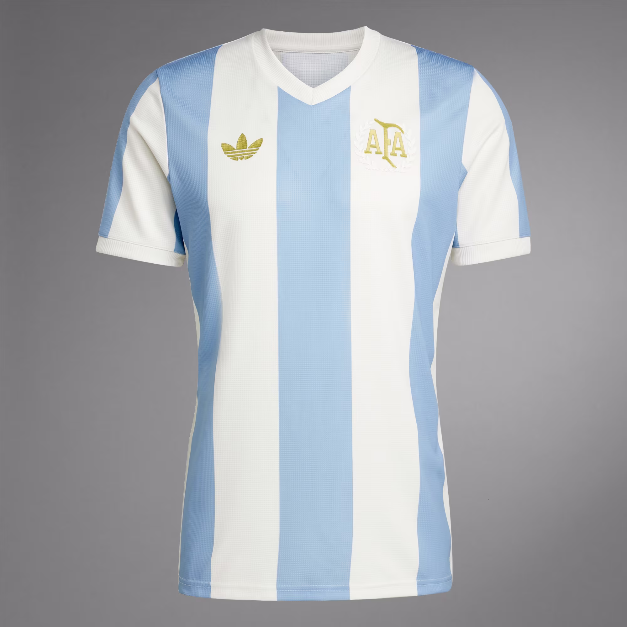 Camiseta Argentina Anniversary